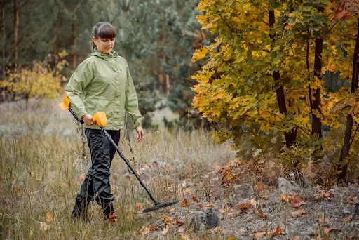 Cum să alegi un detector de metale potrivit pentru începători - factori-cheie